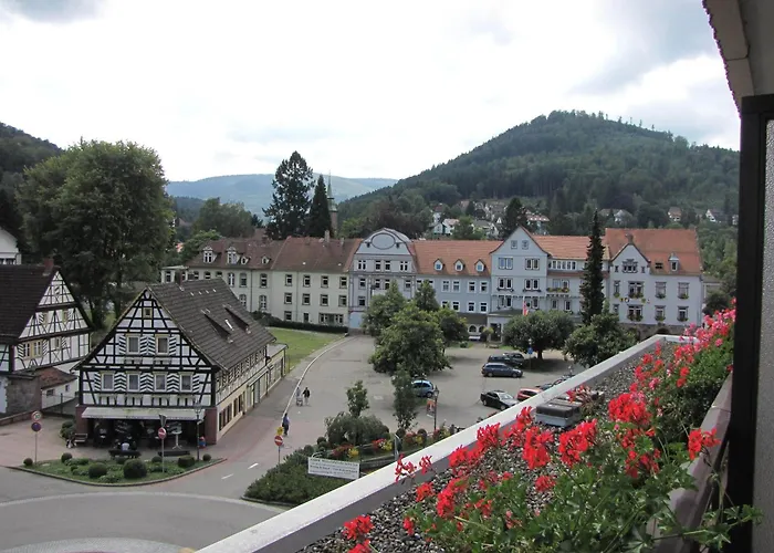 Harzer Am Kurpark