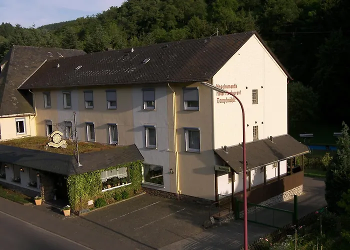Hotel Dampfmühle