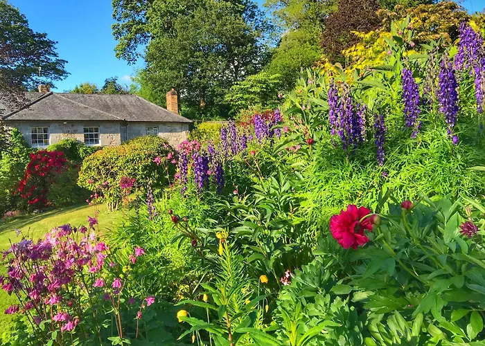 Pen-Y-Dyffryn Country