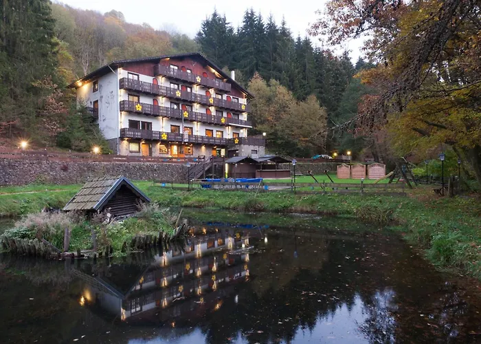 Wolffhotel