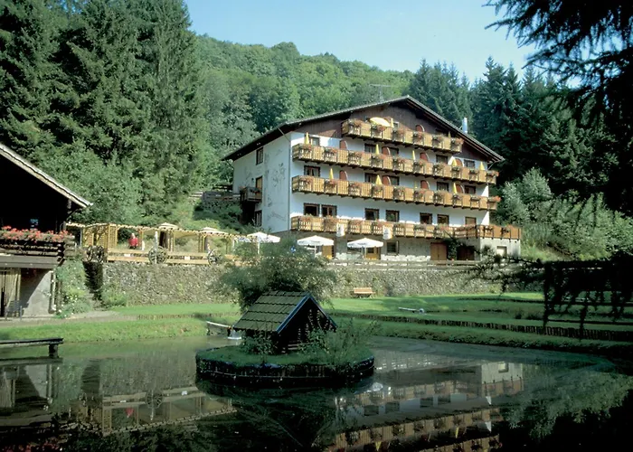 Wolffhotel