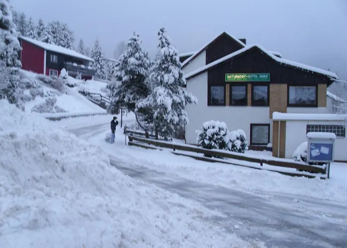 Naturkost- Harz