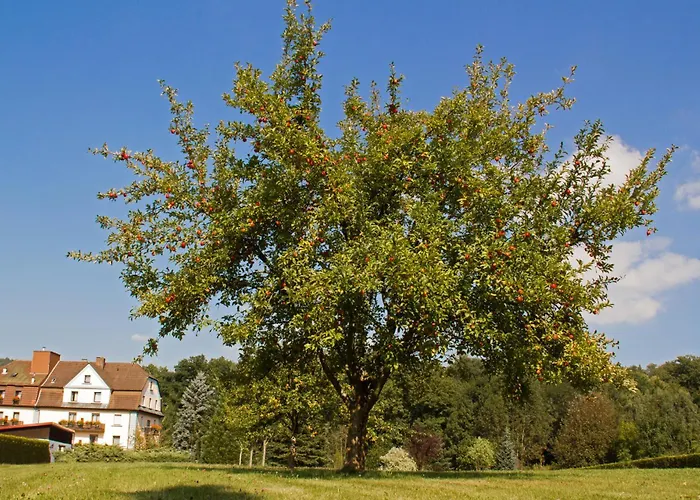 Jägerhof
