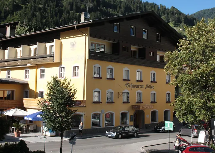 Schwarzer Adler