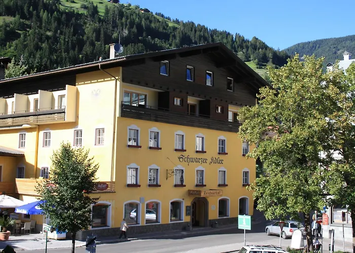 Schwarzer Adler