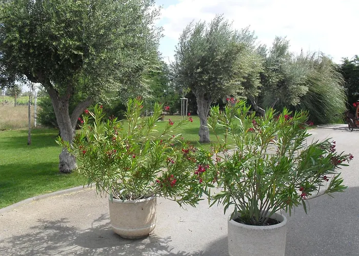 Terras De Monsaraz