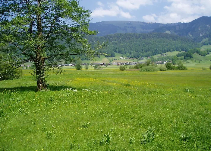 Gasthof Taube