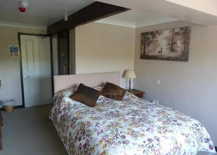 Cameley Lodge - Self Catering