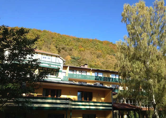 Die Hardtmühle Bergfreiheit