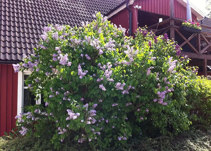 Mattisgarden Bed & Breakfast