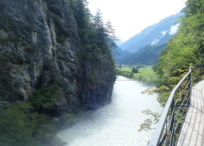 Alpenrose