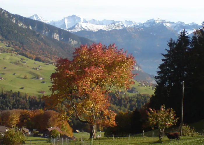 Hotel Rothorn Vintage-Style