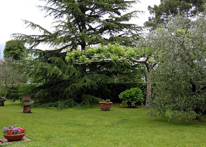 Hotel Il Buongustaio Massa 