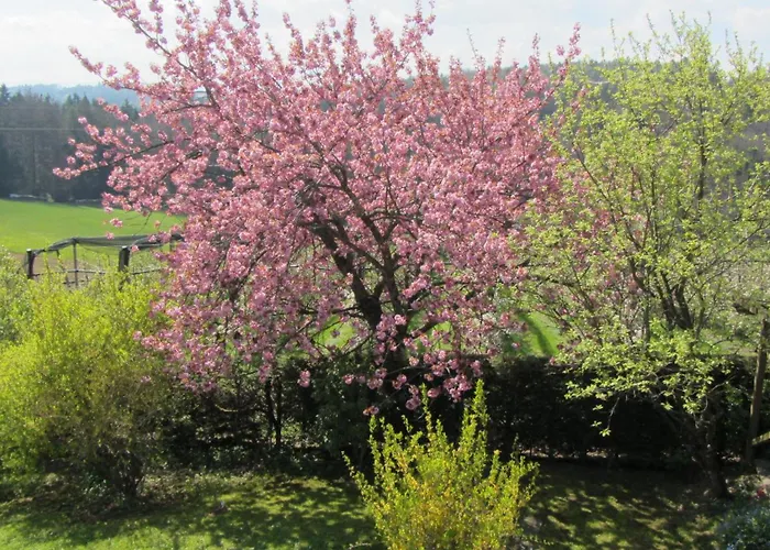 Pension Maria Wallner