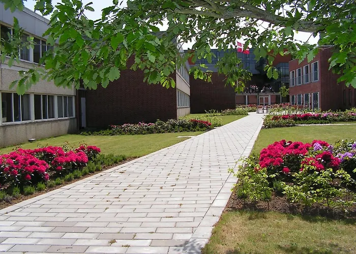 Vingsted Hotel & Konferencecenter