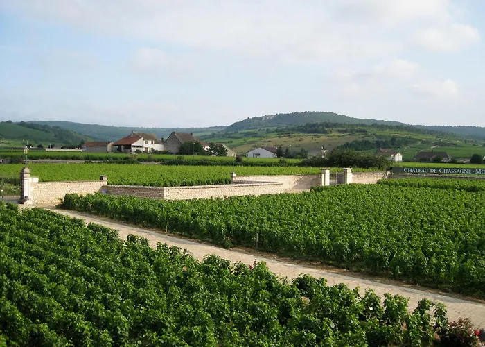 Chateau de Chassagne-Montrachet