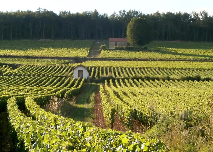 Bed and breakfast Les Demoiselles de Ladoix