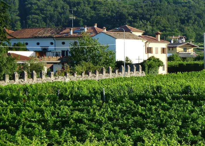 Grillo Iole Winery