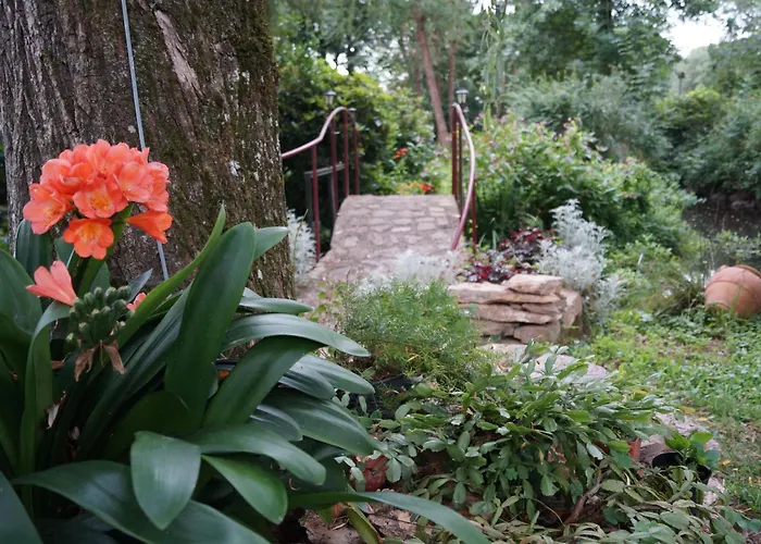 Bed and Breakfast Le Moulin du Bignon à Lassy