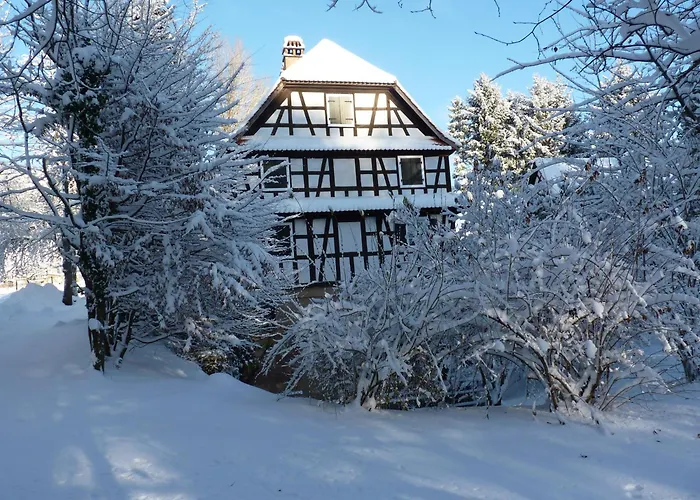 Ferme Auberge Du Moulin Des Sept Fontaines Drachenbronn-Birlenbach