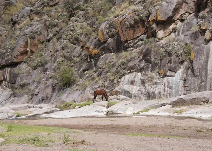 Altos del Valle