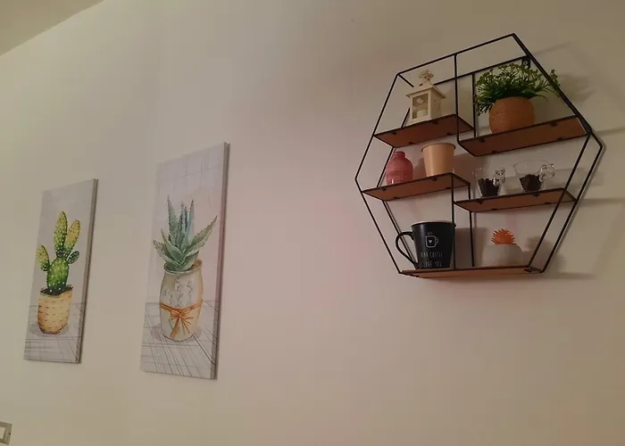 B&B Solimo