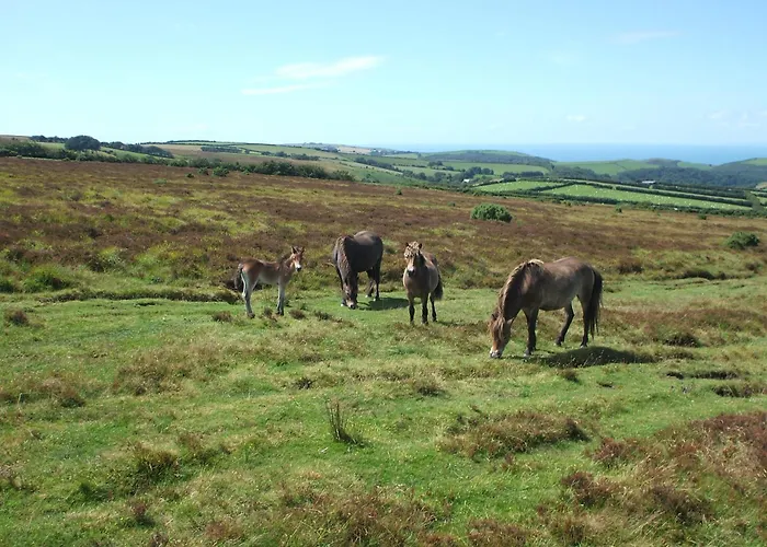 Coombe Farm