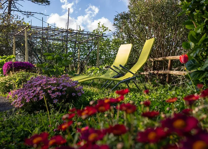 Il Giardino dei Pavoni