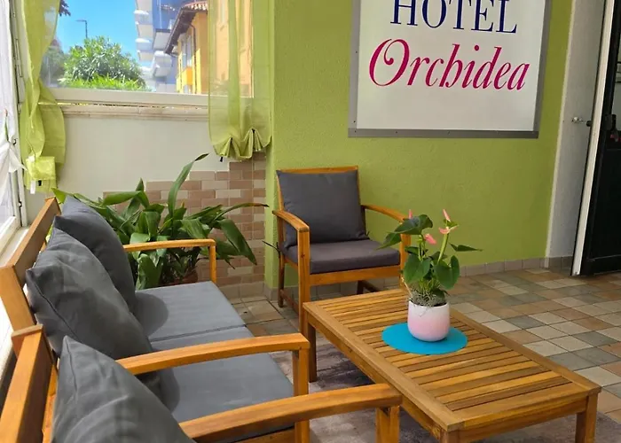 Orchidea