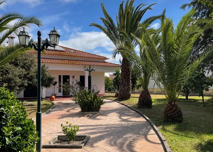 Quinta Das Palmeiras - Casa No Campo Com Piscina