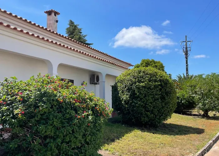 Quinta Das Palmeiras - Casa No Campo Com Piscina
