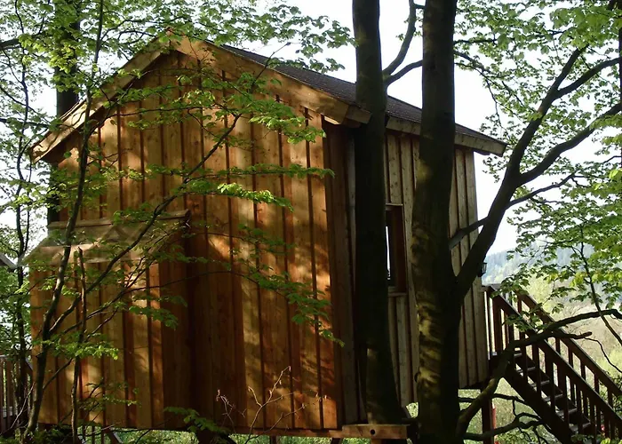 Baumhaushotel Solling