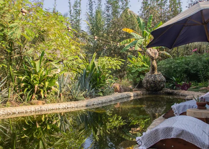 Barbarenas Yoga Eco Retreat Center