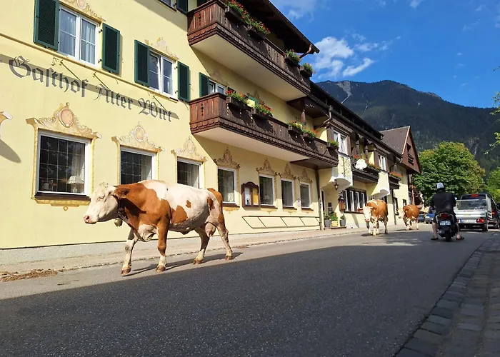 Gasthof Alter Wirt