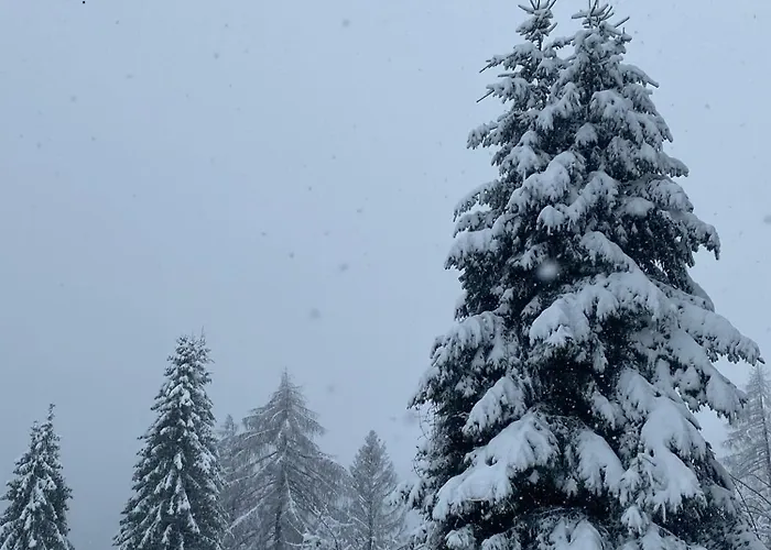 I profumi del bosco