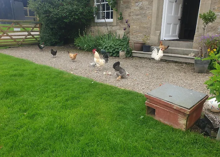 Low Gingerfield Farm B&B Richmond 