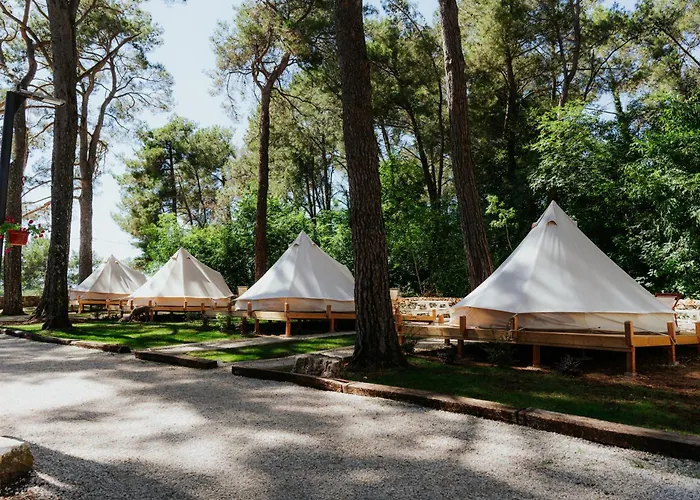 Camp 'Dvor' Bell Tent Accommodation