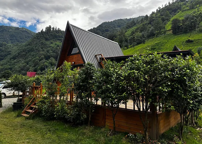 Terapi Tatil Koeyue