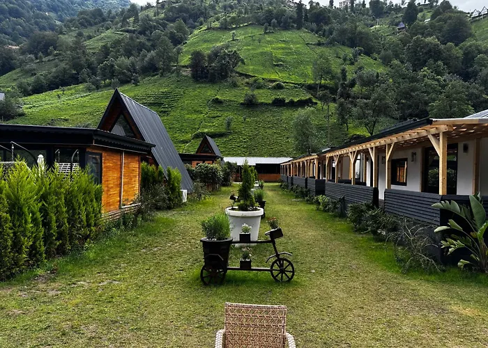Terapi Tatil Koeyue