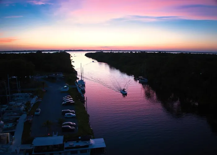 Dolphins Vacation Rental