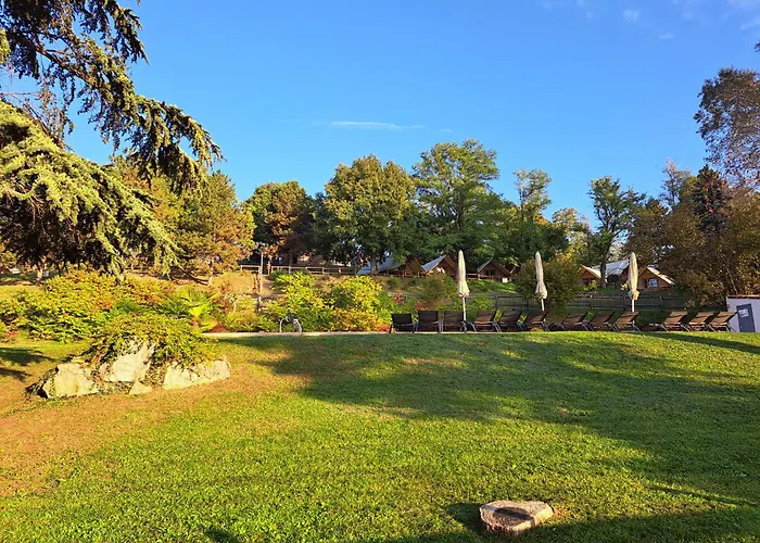 Domaine De Chantesse