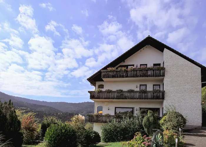 Hotel Schauinsland Bad Peterstal-Griesbach
