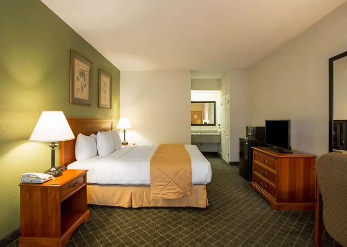 Clarion Inn & Suites South