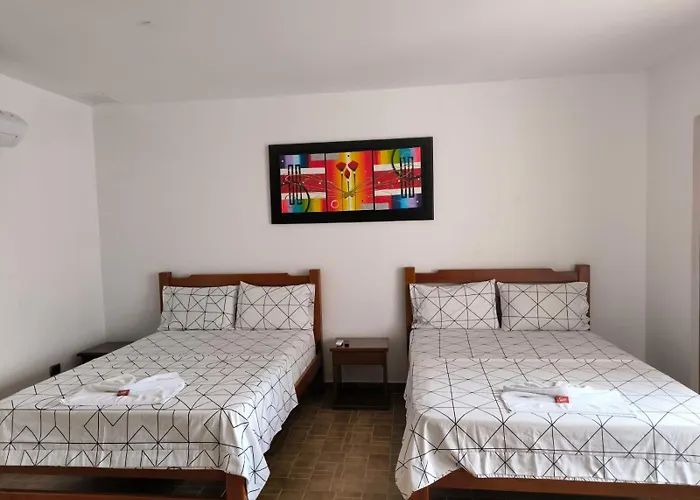 Hotel Palmarito