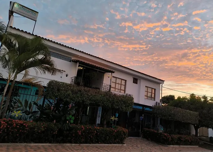 Hotel Palmarito