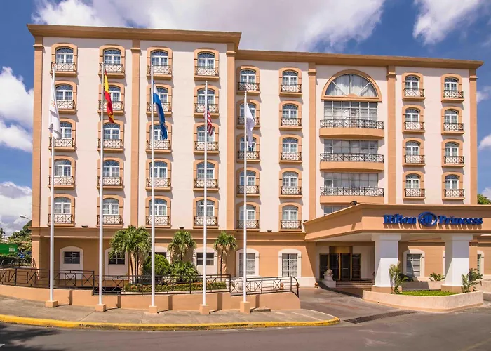 Hilton Princess