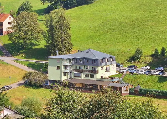 Grüner Baum Mit Restaurant&Wellness
