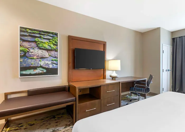 Comfort Inn & Suites I-75