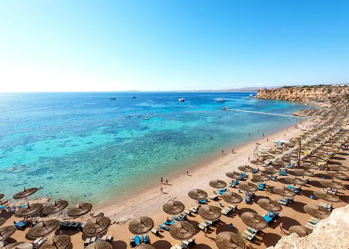 Reef Oasis Beach Resort