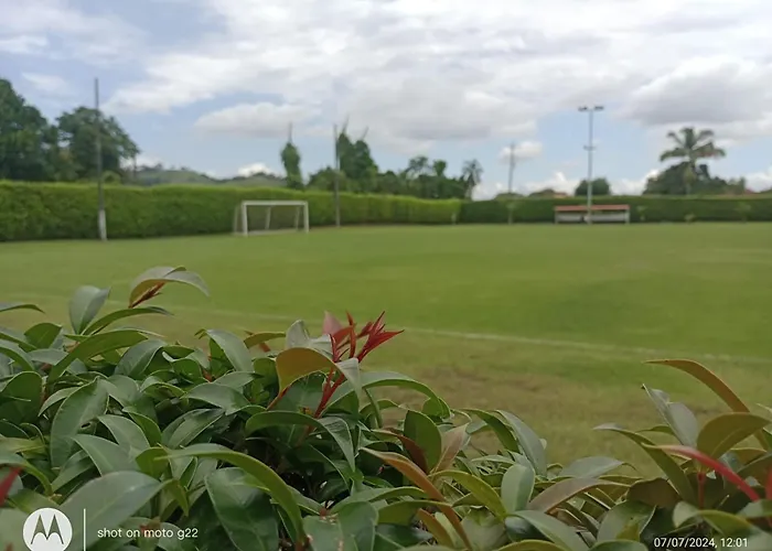 Palo Grande Cf Pereira
